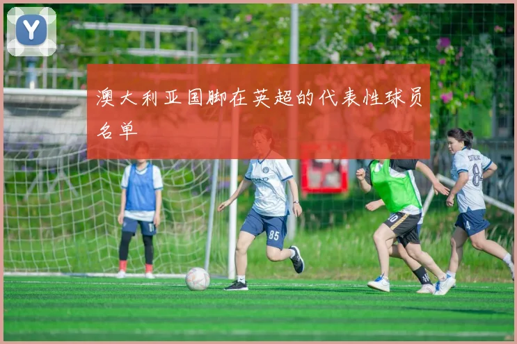 澳大利亚国脚在英超的代表性球员名单