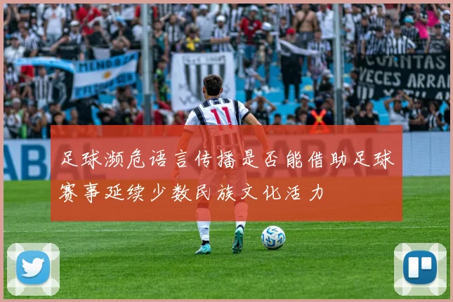 足球濒危语言传播是否能借助足球赛事延续少数民族文化活力