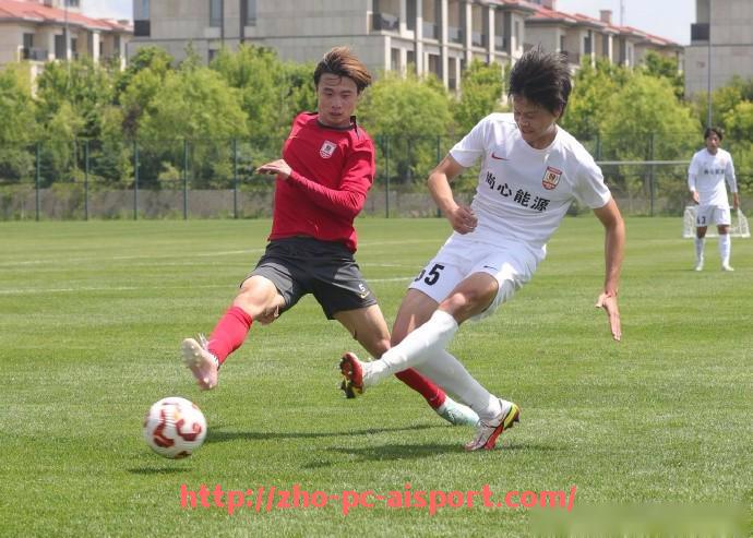 爱体育-法甲里昂外援表现的分析与他们的贡献