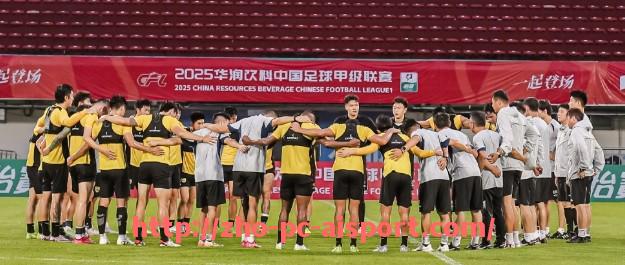 爱体育-世俱杯2023多特蒙德比赛录像精选：精彩瞬间与战术执行分析